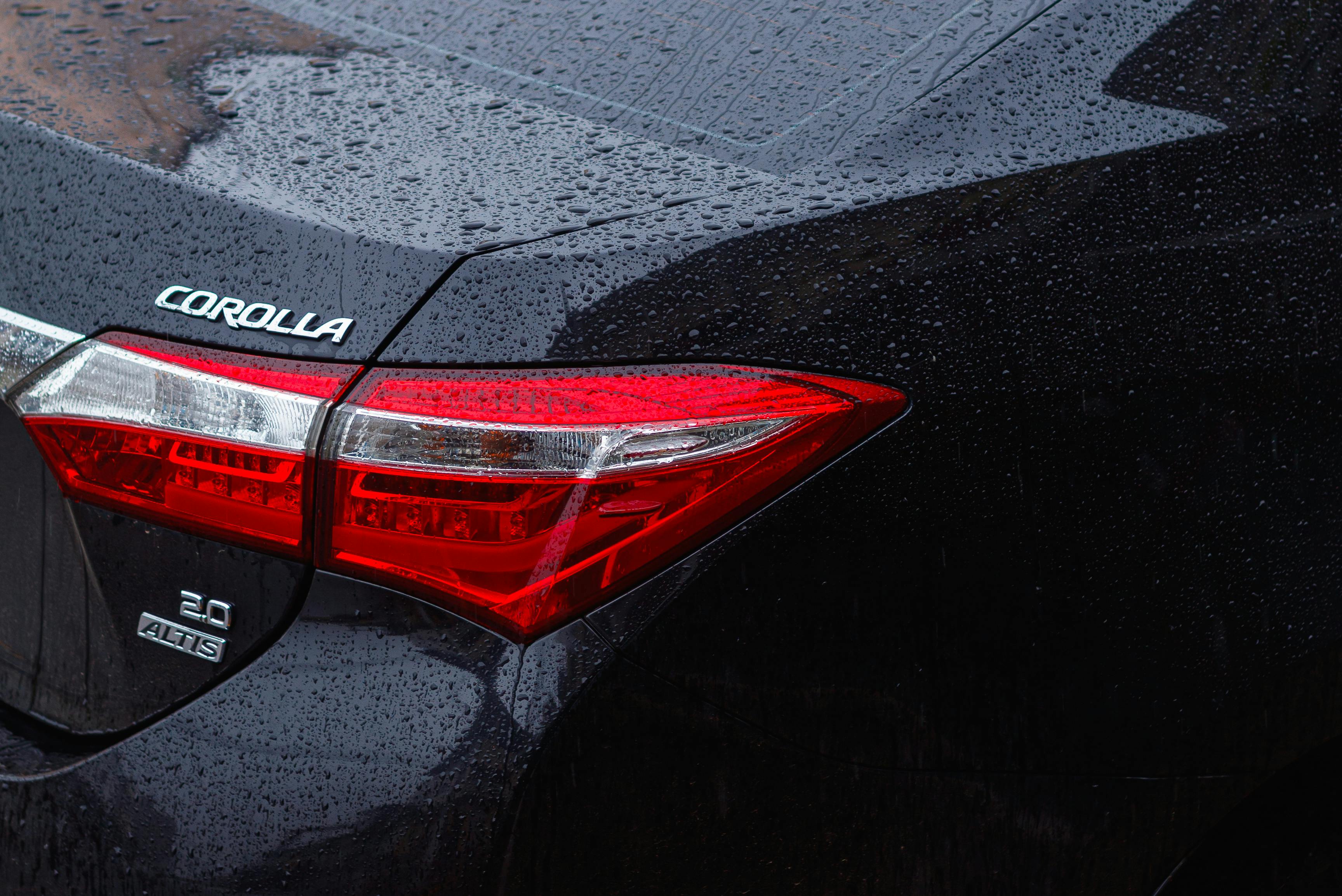 Tail Light